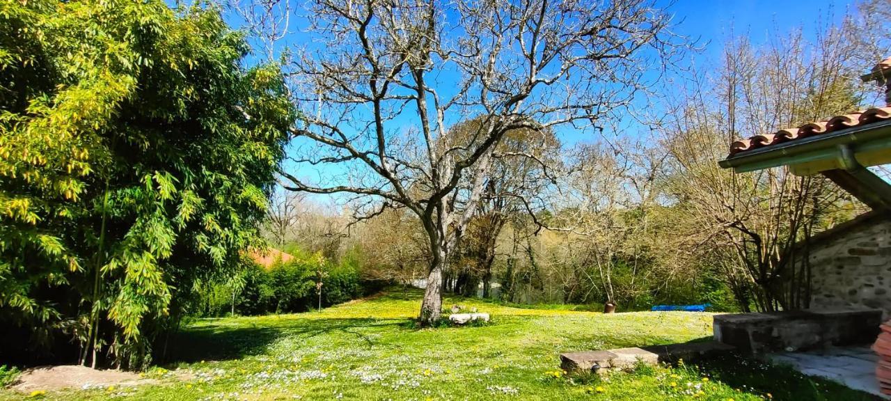 Апартаменты Entre Galets Sauveterre-de-Bearn Экстерьер фото